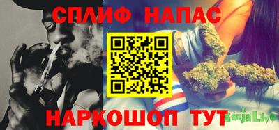 сатива Бузулук
