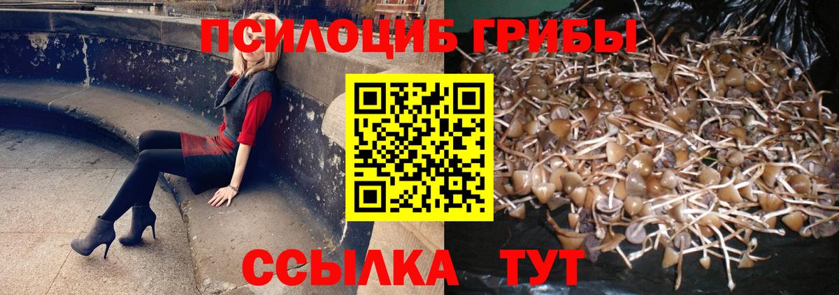 дарнет шоп  Галлюциногенные грибы ЛСД  Вход с VPN  Ханты-Мансийск 